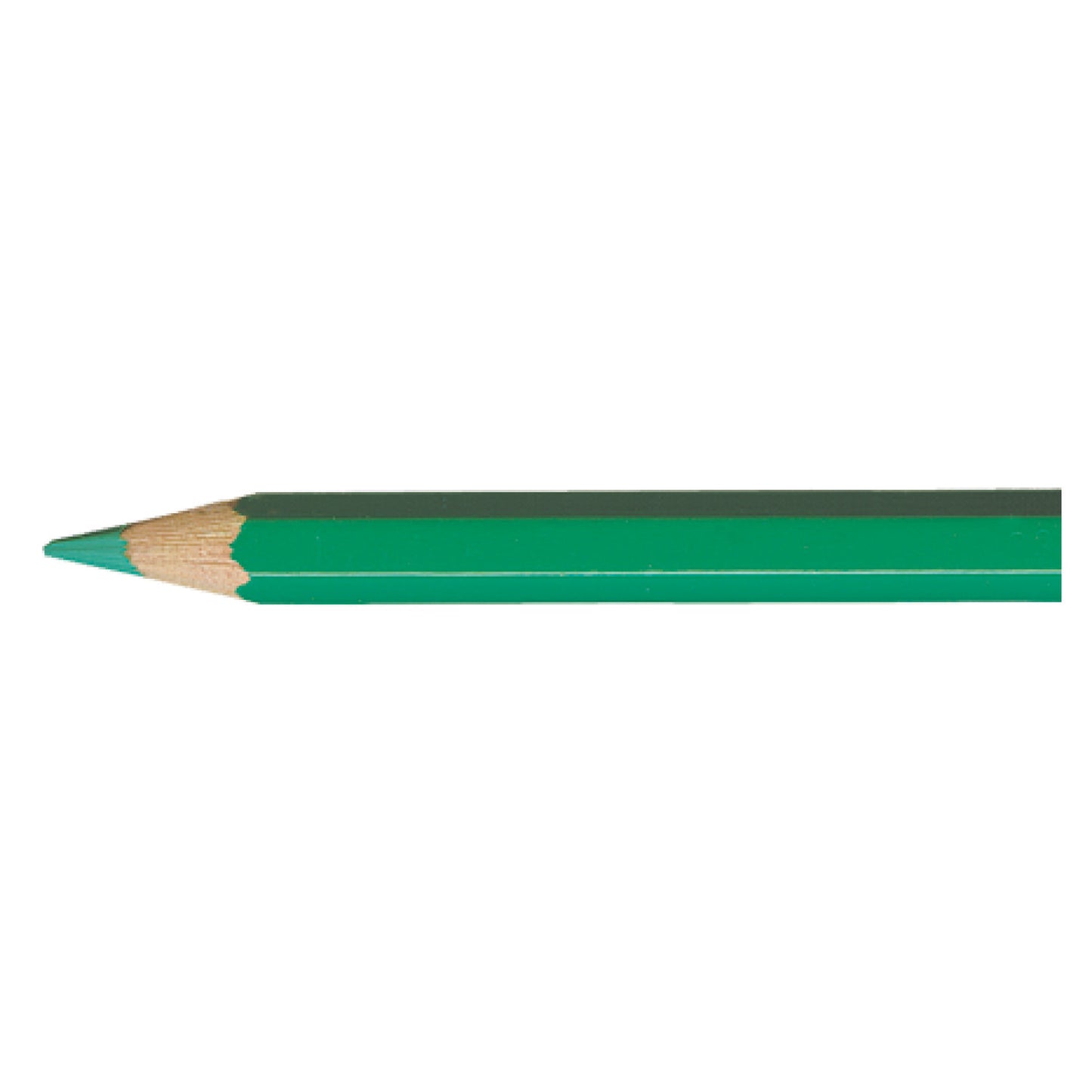Pablo VERONESE GREEN 201 Kleurpotlood Caran d'Ache
