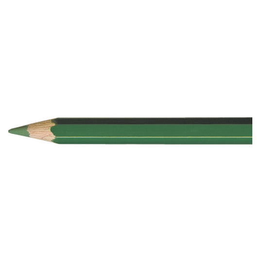 Supracolor SPRUCE GREEN 239 Aquarelpotlood Caran d'Ache