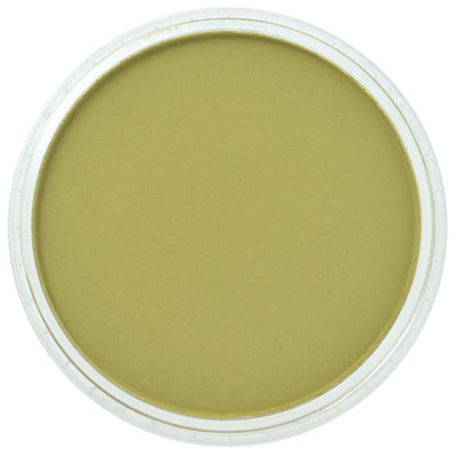 Bright Yellow Green Shade 680.3 PanPastel doosje 9ml