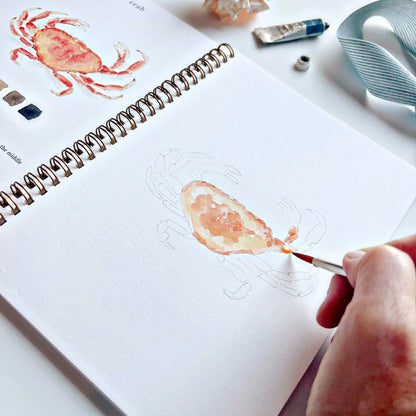 Aquarelverf werkboek - Seaside- emily lex studio watercolor workbook