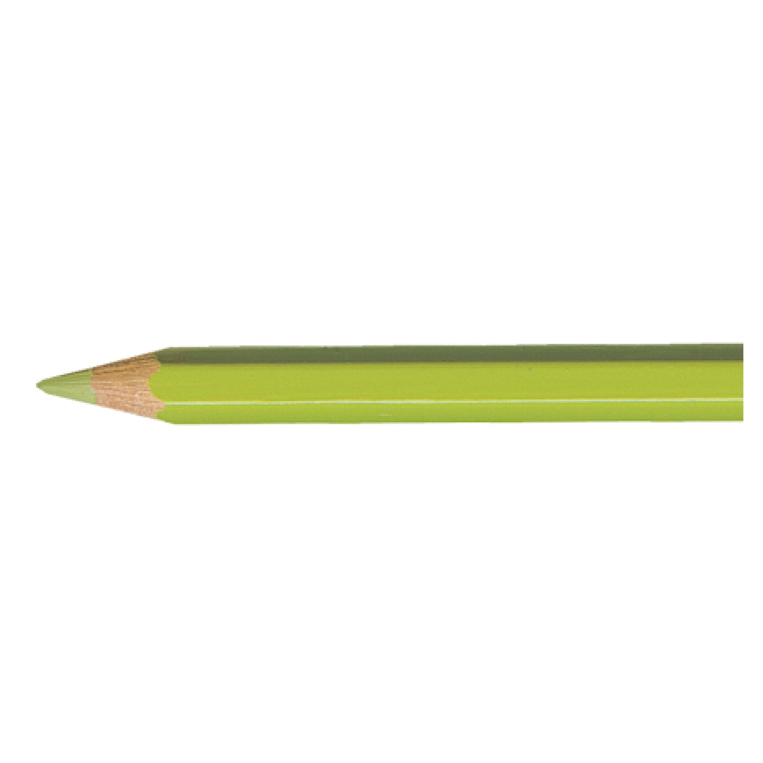 Pablo LIGHT OLIVE  245 Kleurpotlood Caran d'Ache