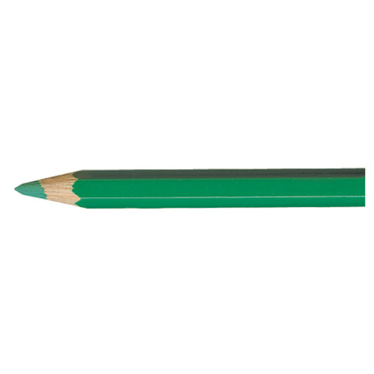 Pablo PEACOCK GREEN  460 Kleurpotlood Caran d'Ache