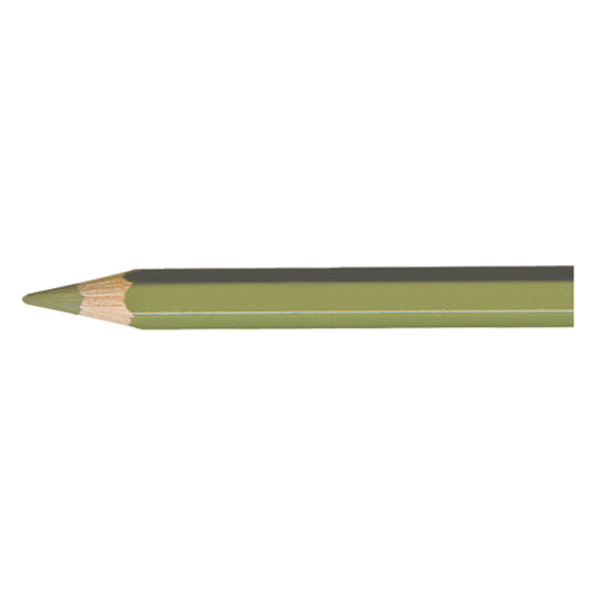 Pablo OLIVE GREY  018 Kleurpotlood Caran d'Ache