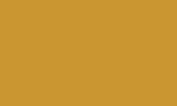 Luminance RAW SIENNA 036 Kleurpotlood Caran d'ache