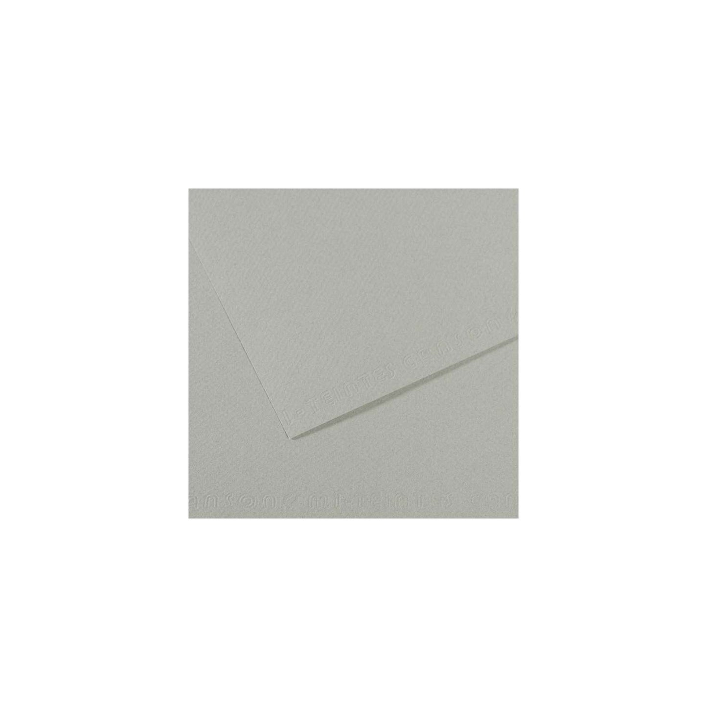 10 vel 160 grs Mi-Teintes gekleurd papier, no 354 grijs blauw 50x65cm
